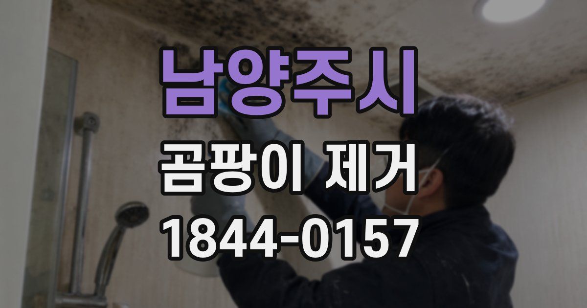 남양주시 곰팡이 제거