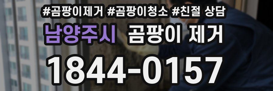 남양주시 곰팡이 제거