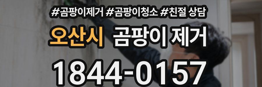 오산시 곰팡이 제거