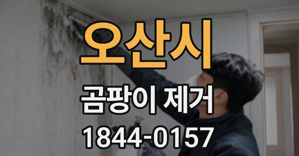 오산시 곰팡이 제거