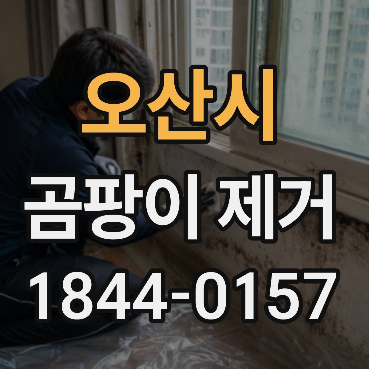 오산시 곰팡이 제거