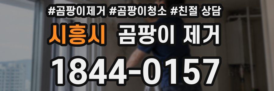 시흥시 곰팡이 제거