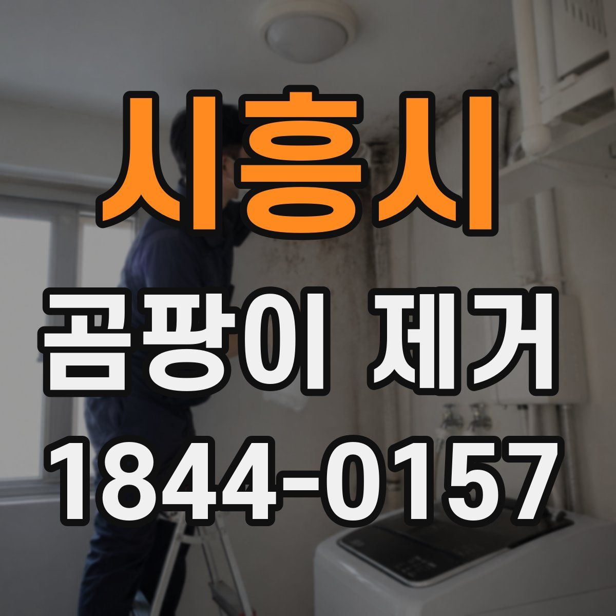 시흥시 곰팡이 제거