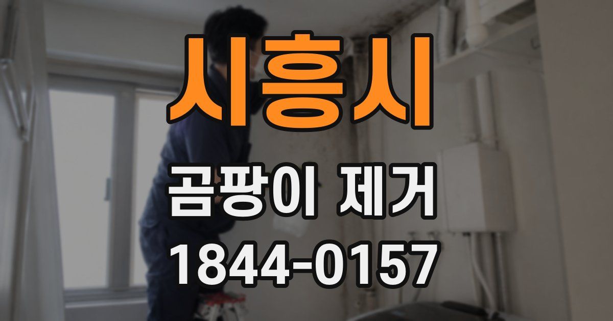 시흥시 곰팡이 제거