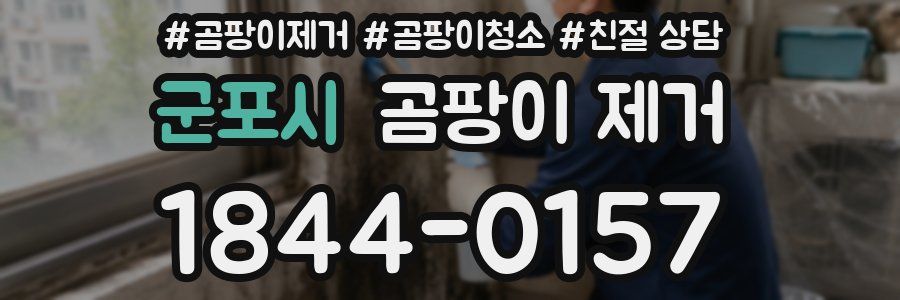 군포시 곰팡이 제거