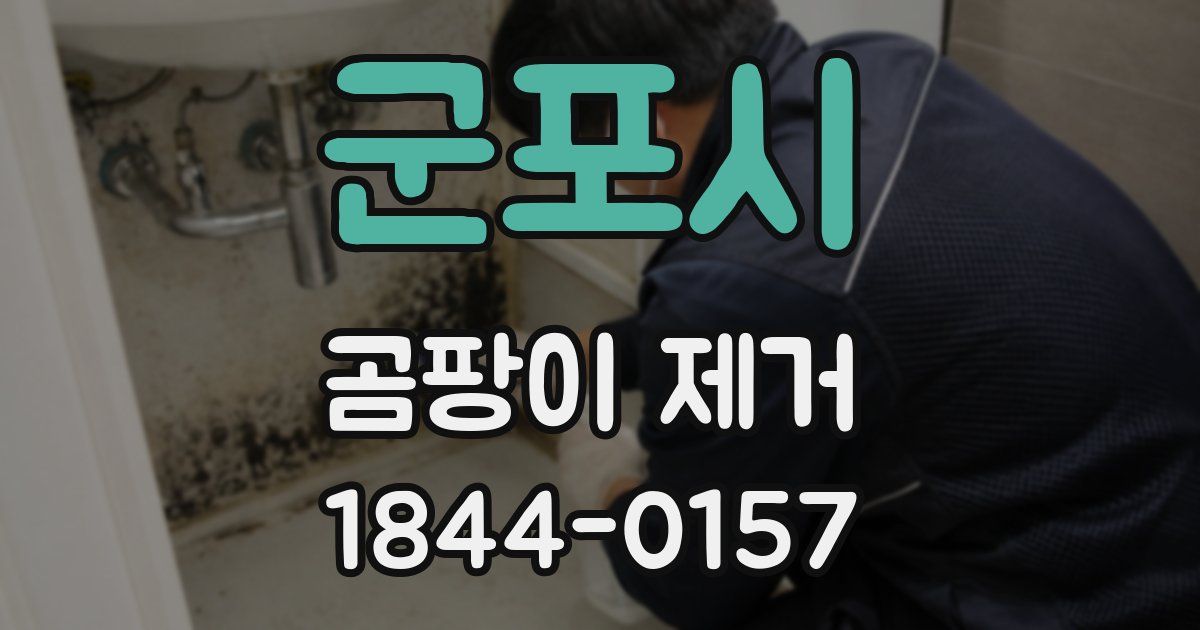 군포시 곰팡이 제거