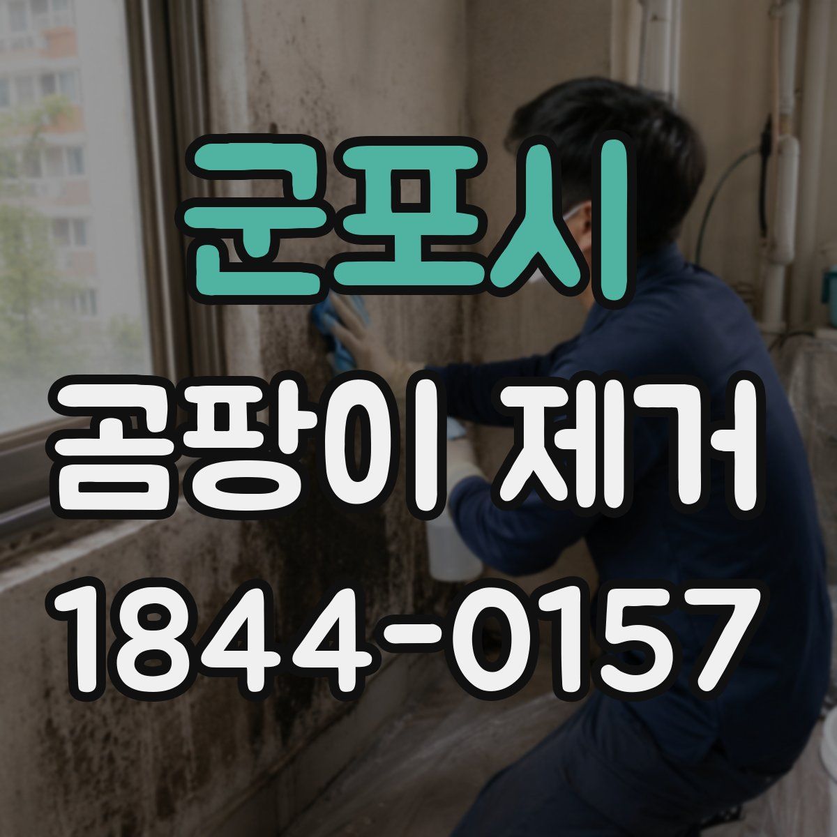 군포시 곰팡이 제거