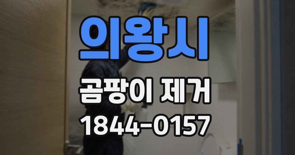 의왕시 곰팡이 제거
