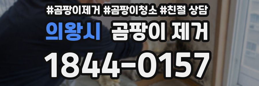 의왕시 곰팡이 제거