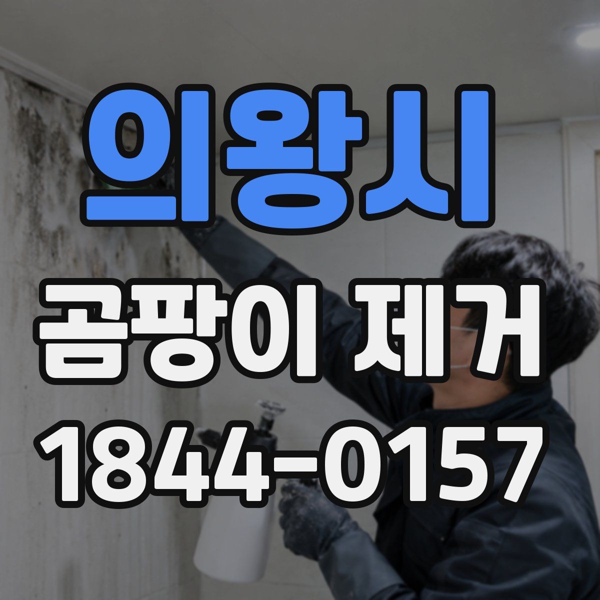의왕시 곰팡이 제거