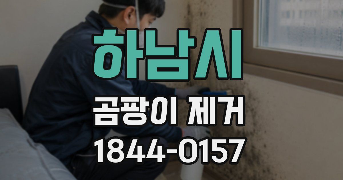 하남시 곰팡이 제거