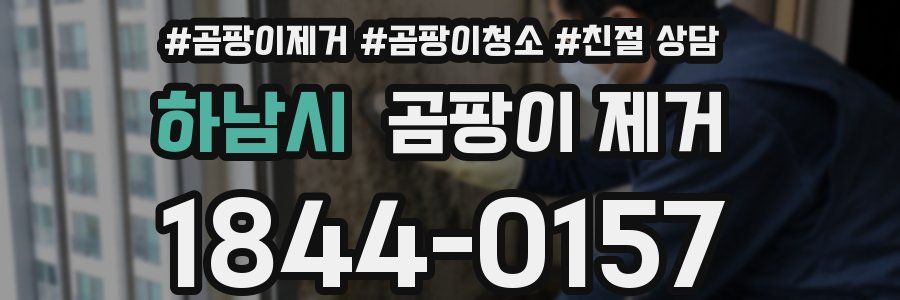 하남시 곰팡이 제거