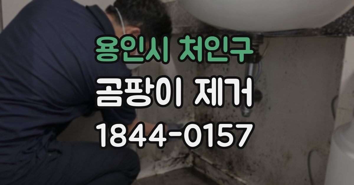 용인시 처인구 곰팡이 제거