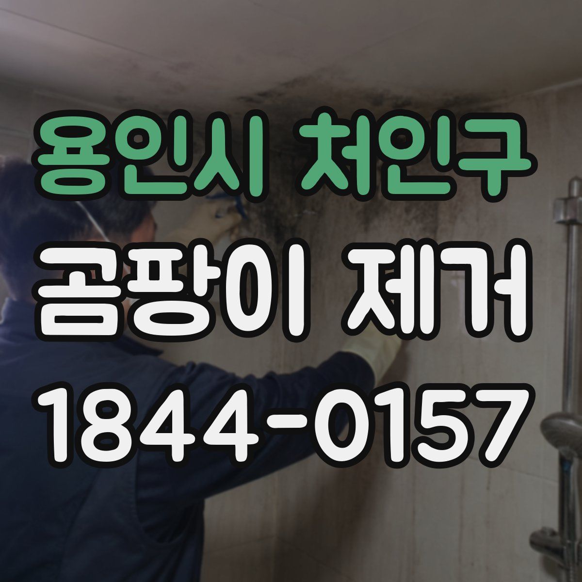 용인시 처인구 곰팡이 제거
