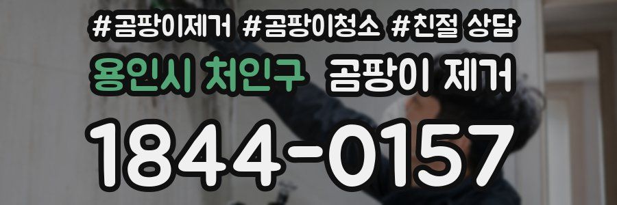 용인시 처인구 곰팡이 제거