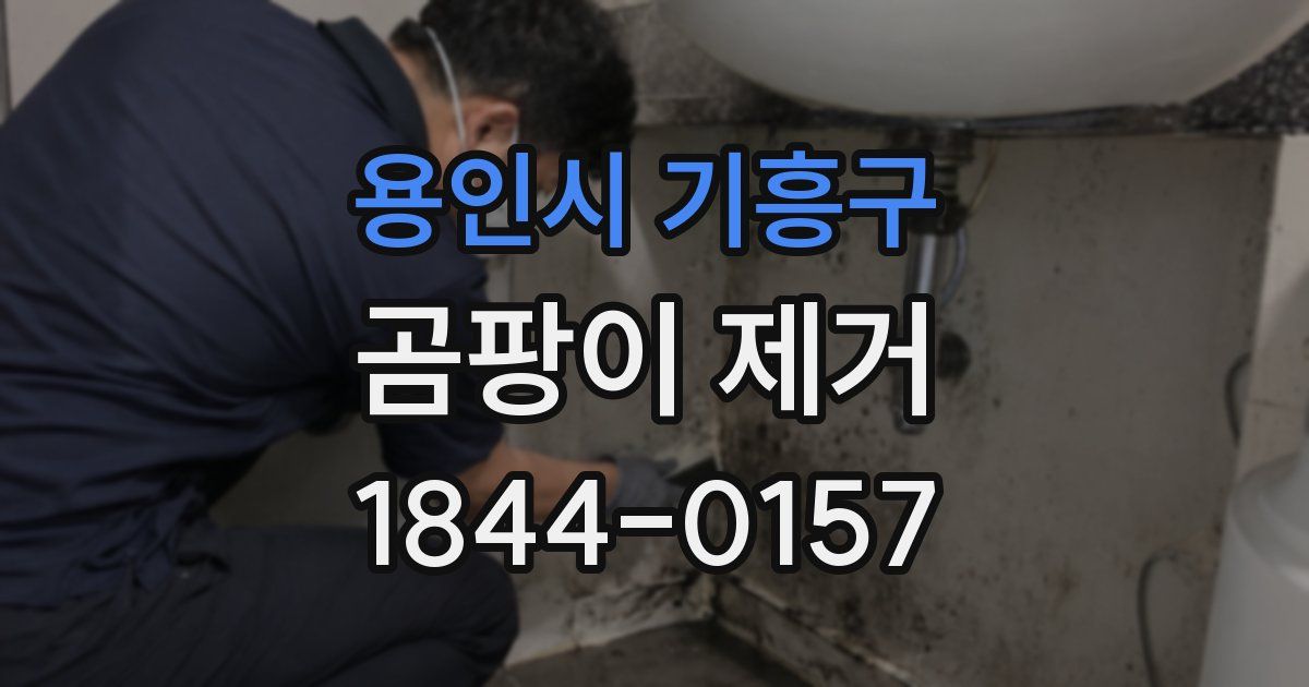 용인시 기흥구 곰팡이 제거
