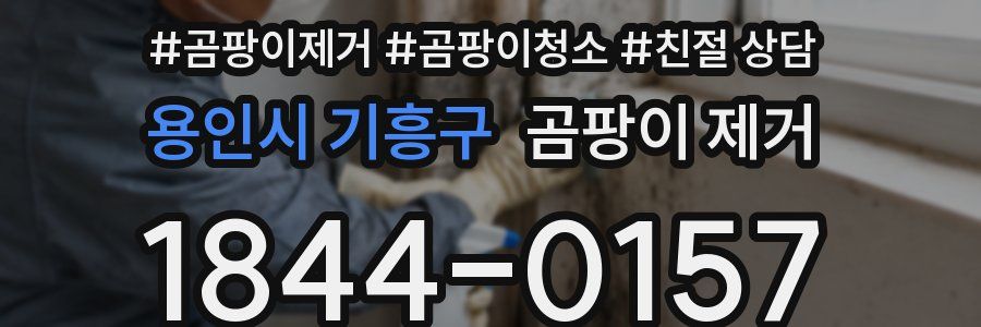 용인시 기흥구 곰팡이 제거