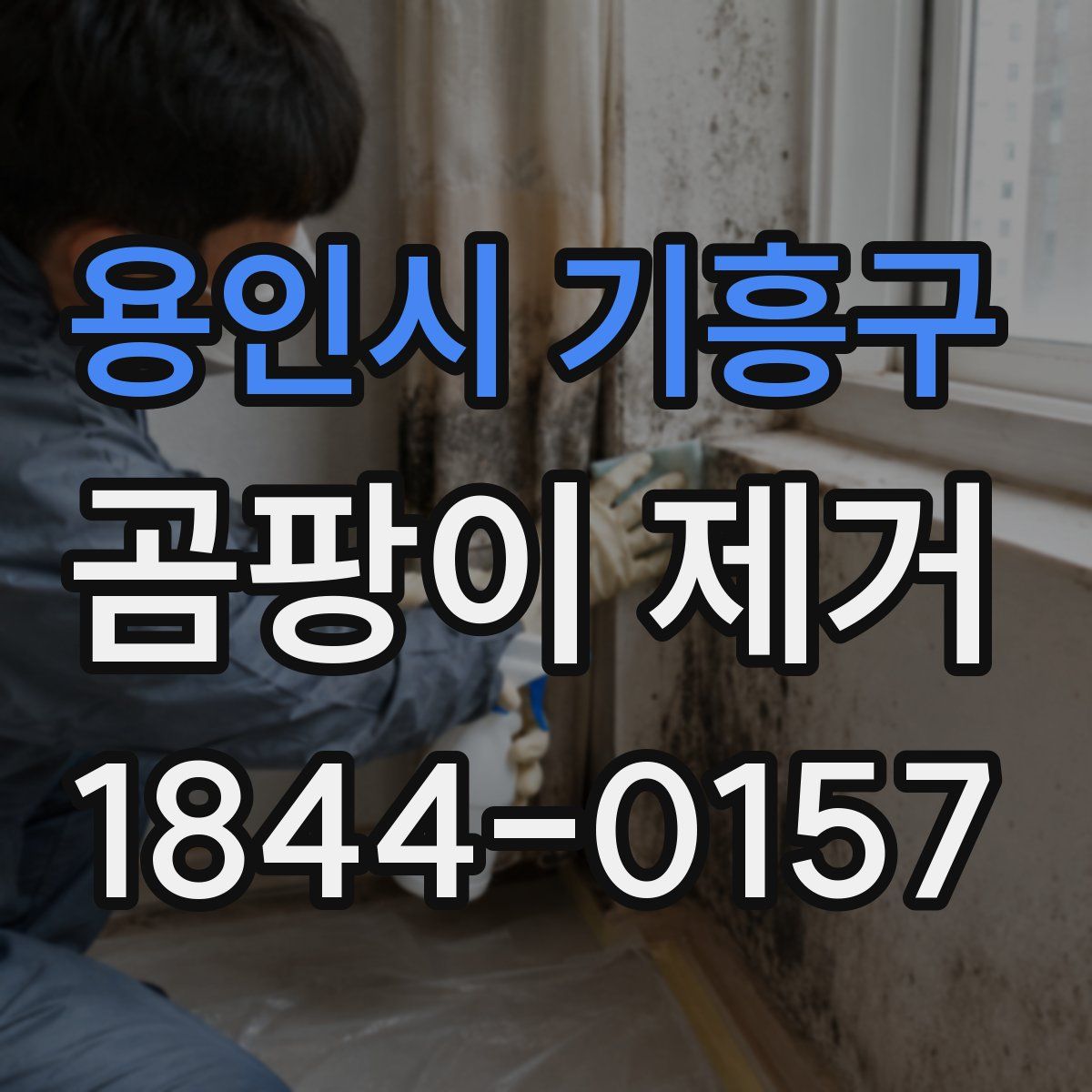 용인시 기흥구 곰팡이 제거