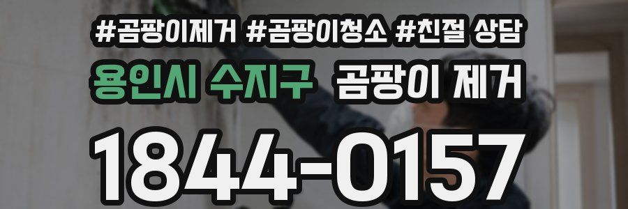 용인시 수지구 곰팡이 제거