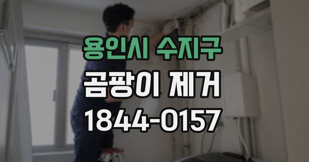 용인시 수지구 곰팡이 제거