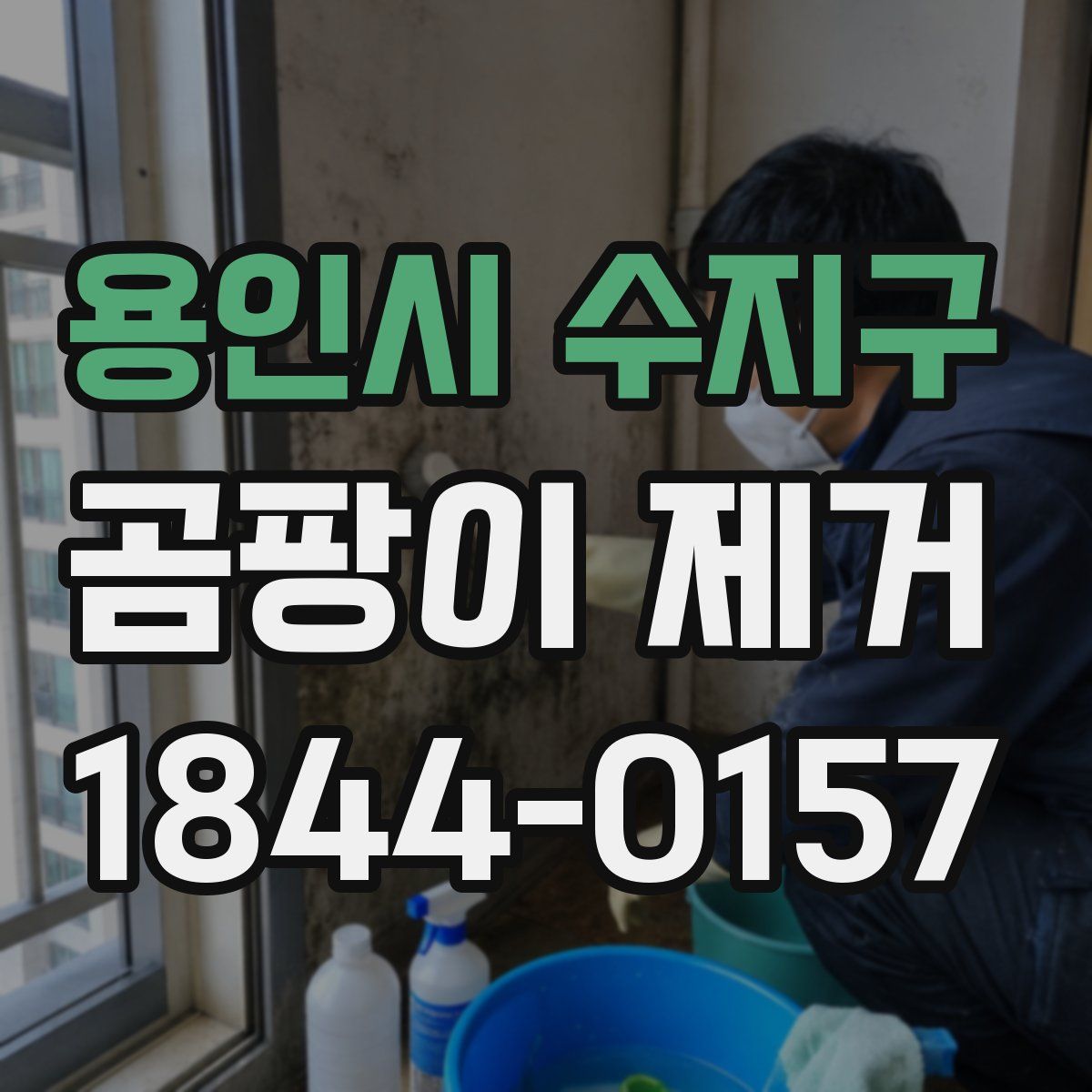 용인시 수지구 곰팡이 제거