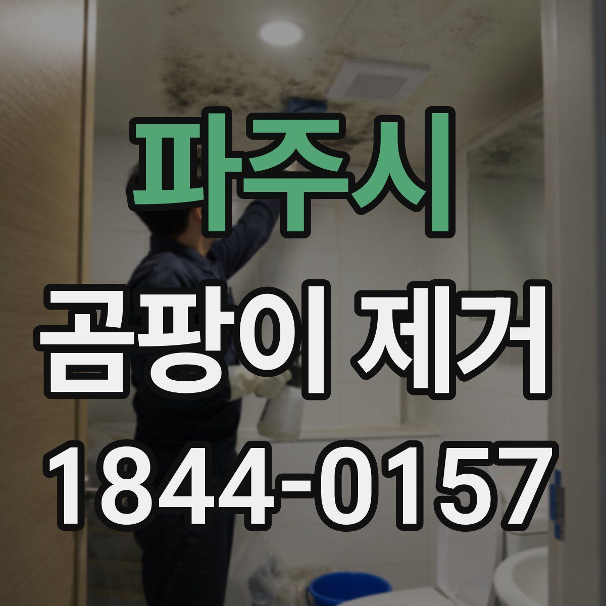 파주시 곰팡이 제거