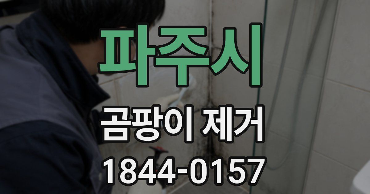 파주시 곰팡이 제거