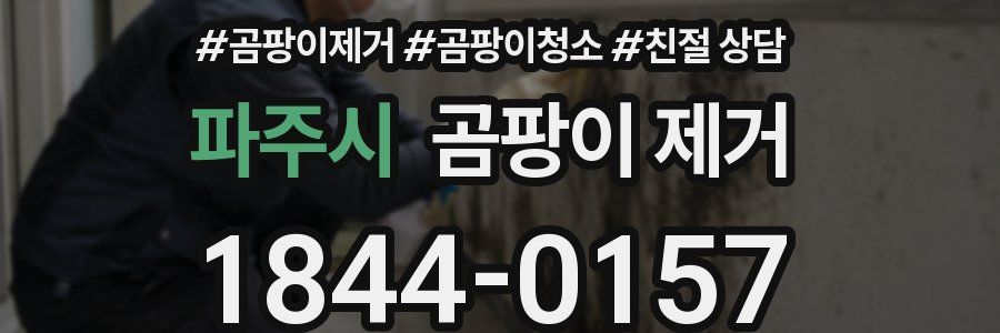 파주시 곰팡이 제거