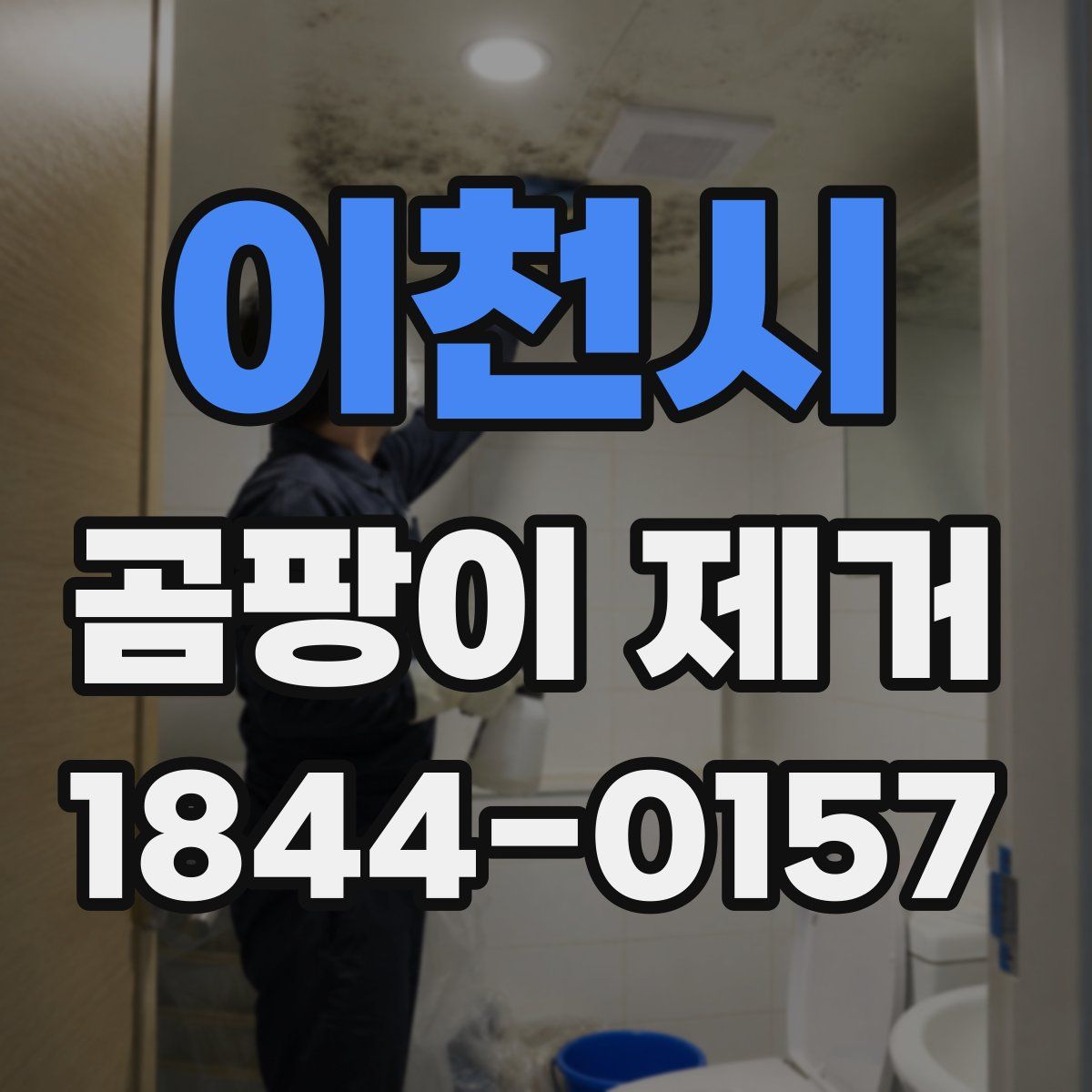 이천시 곰팡이 제거