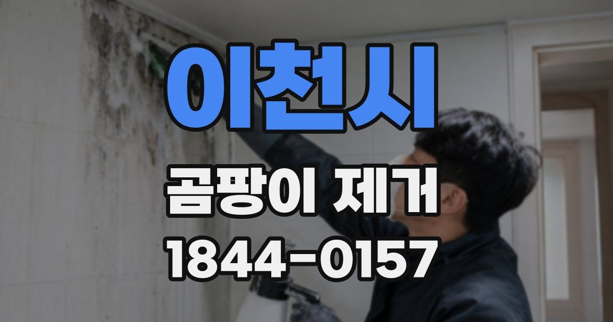 이천시 곰팡이 제거