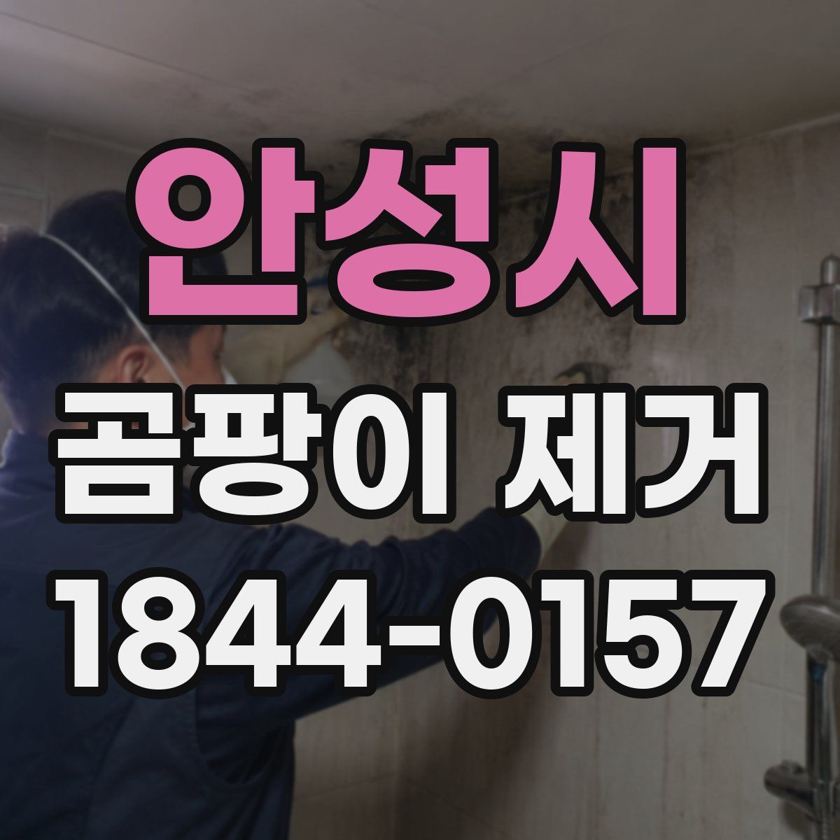 안성시 곰팡이 제거