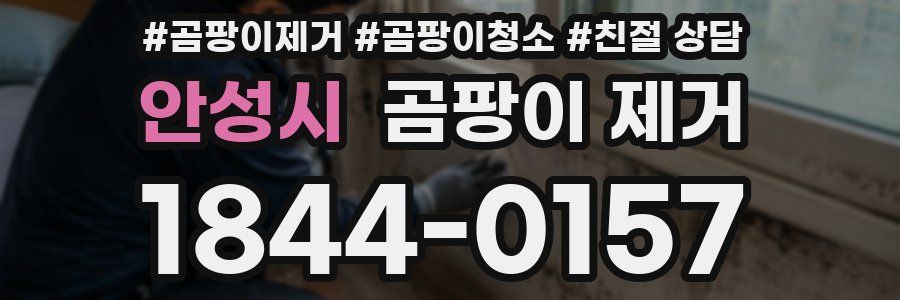 안성시 곰팡이 제거