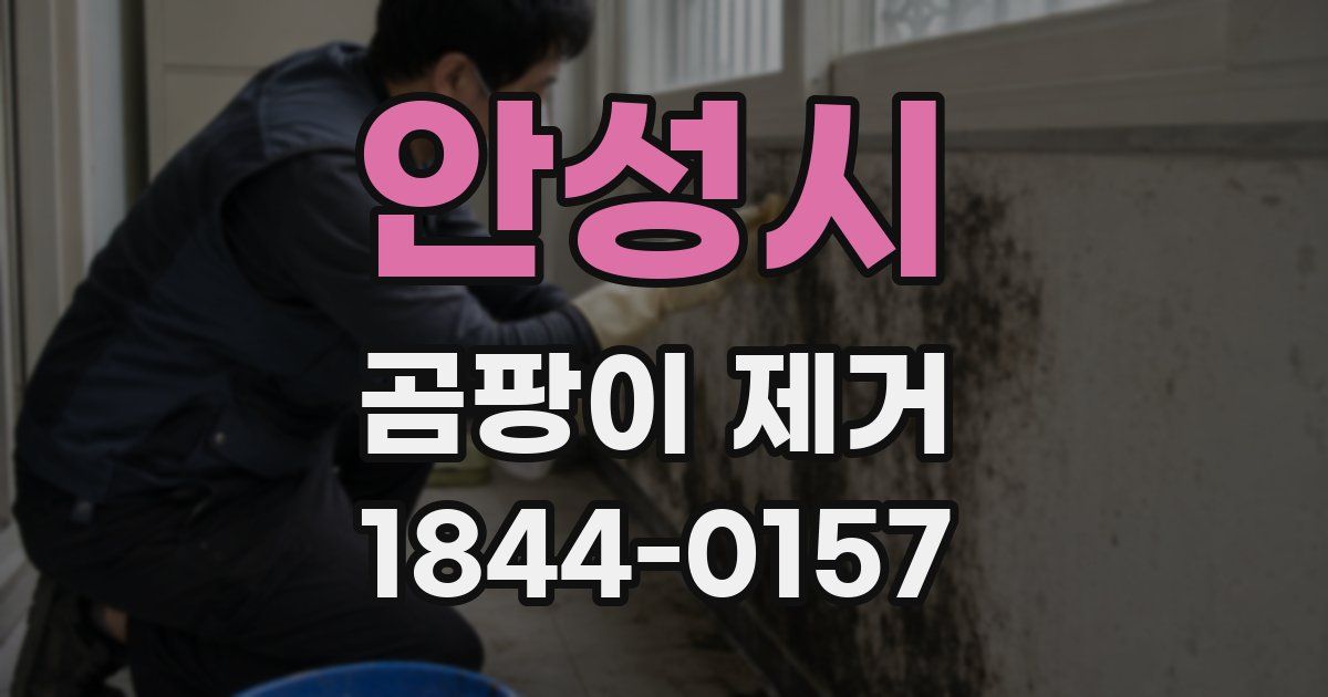 안성시 곰팡이 제거