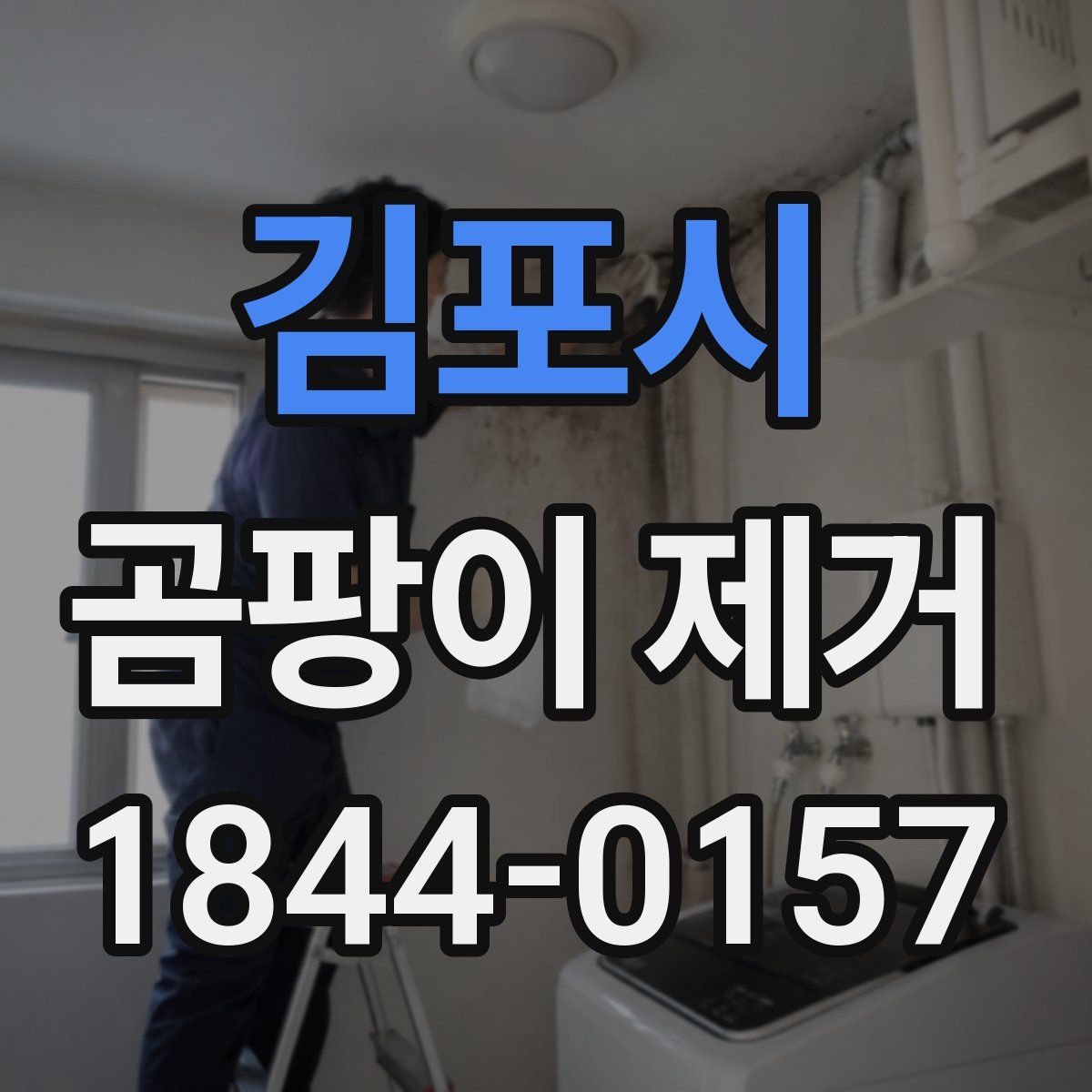 김포시 곰팡이 제거