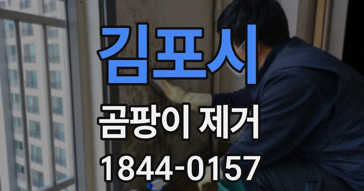 김포시 곰팡이 제거