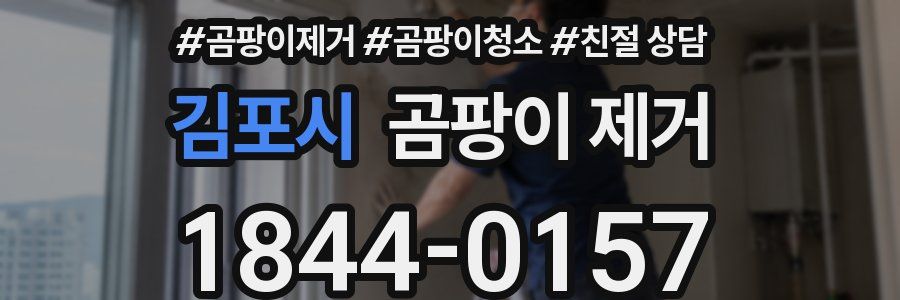 김포시 곰팡이 제거