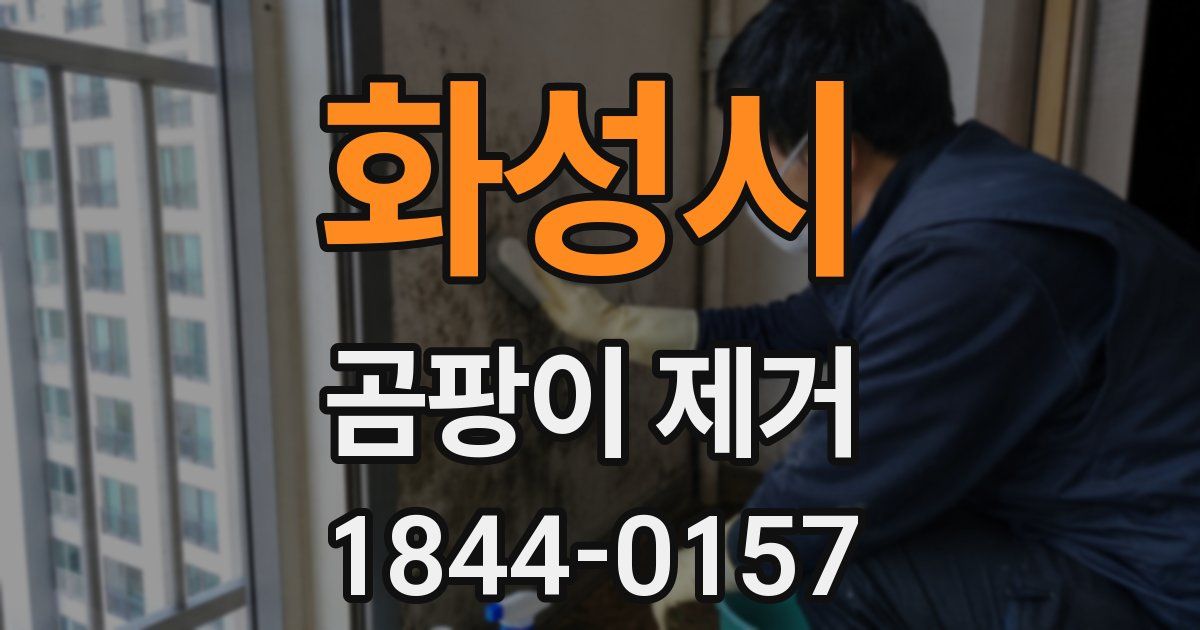 화성시 곰팡이 제거