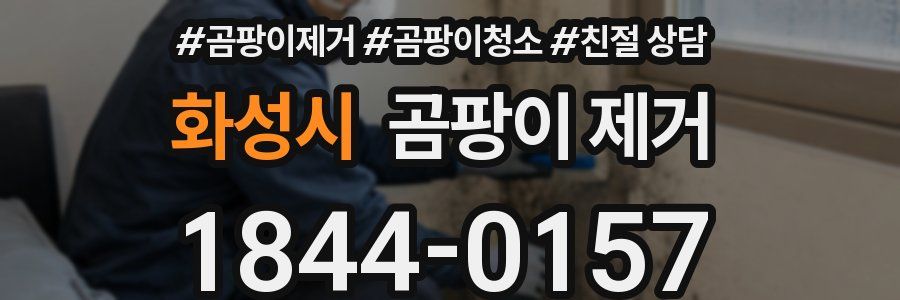 화성시 곰팡이 제거