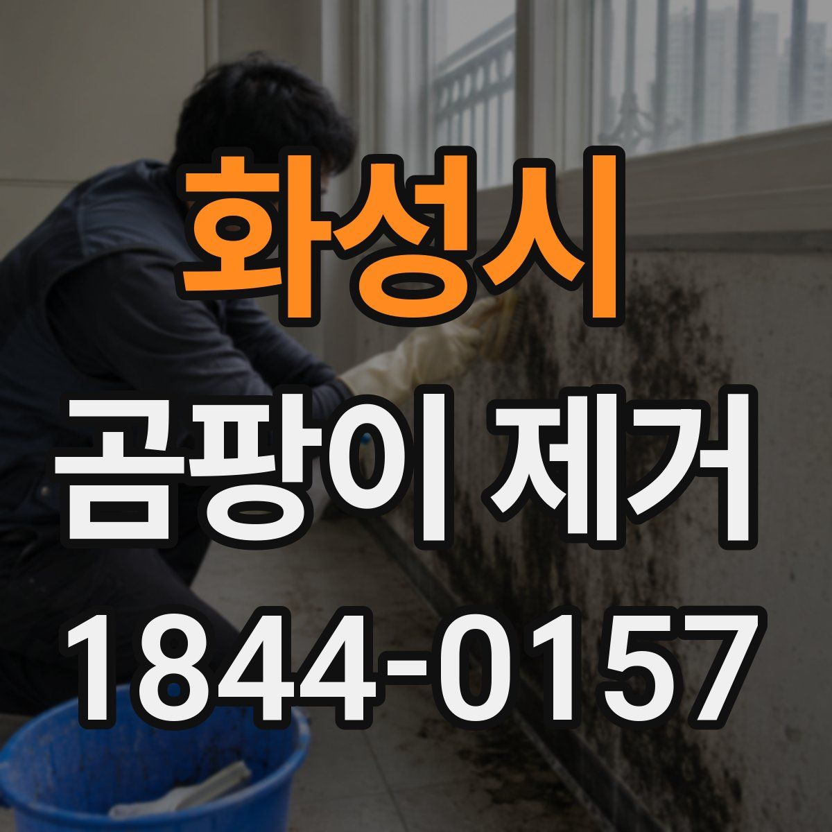 화성시 곰팡이 제거