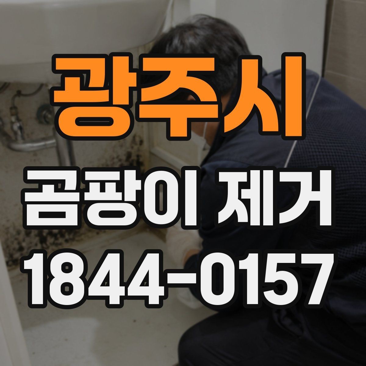 광주시 곰팡이 제거 업체에 요청할 수 있는 작업 범위