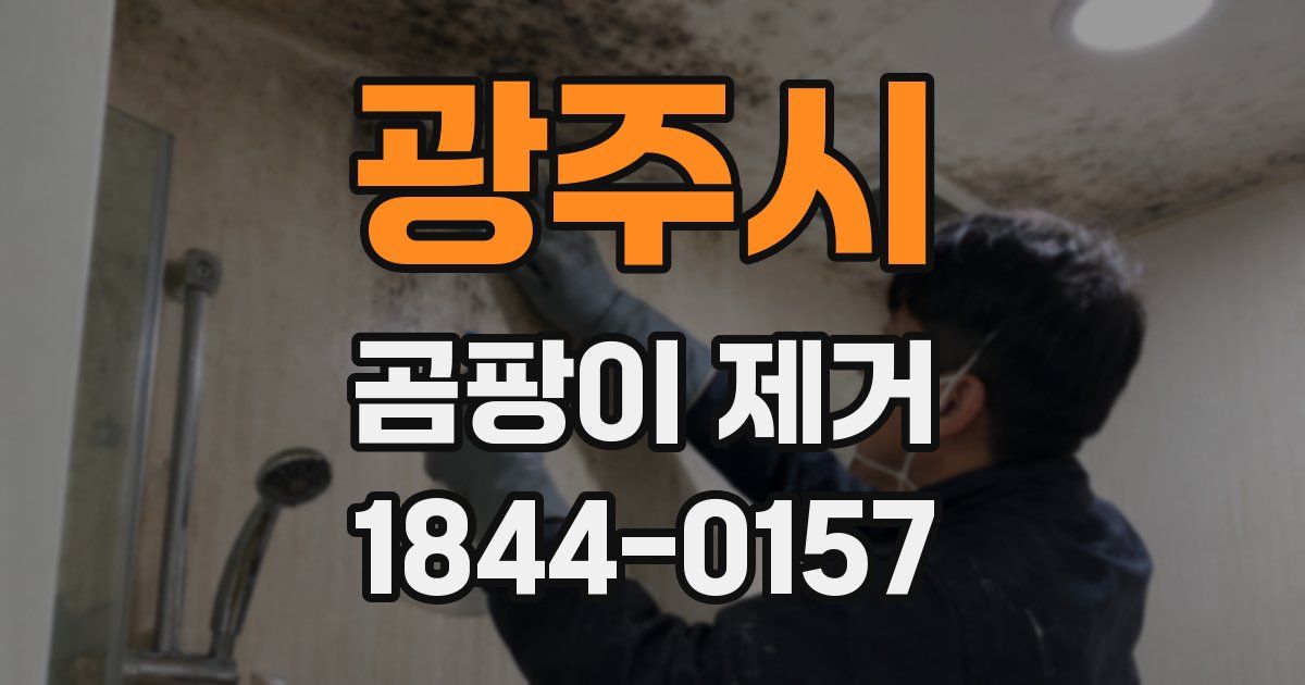 광주시 곰팡이 제거