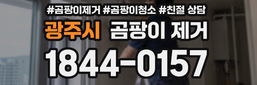 광주시 곰팡이 제거