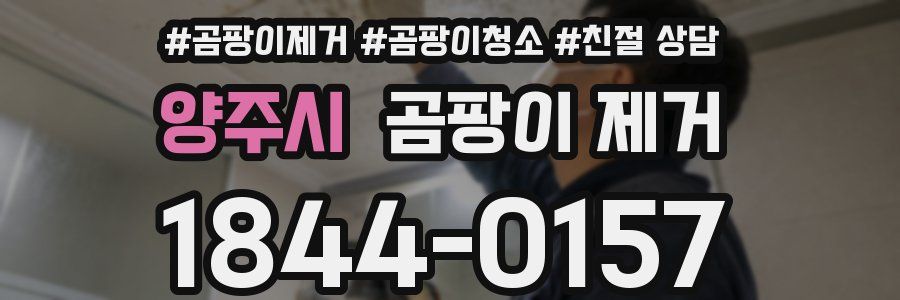양주시 곰팡이 제거