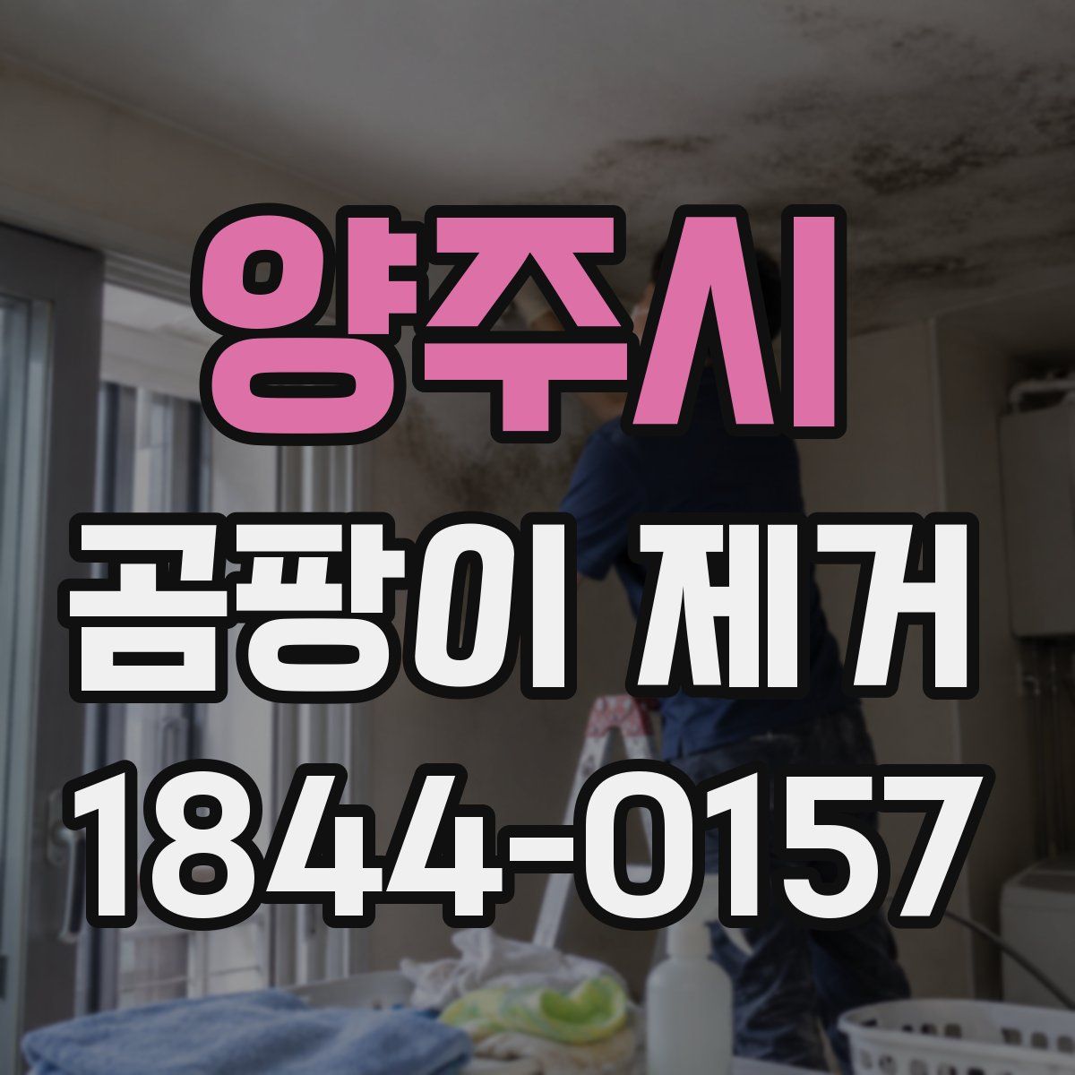 양주시 곰팡이 제거
