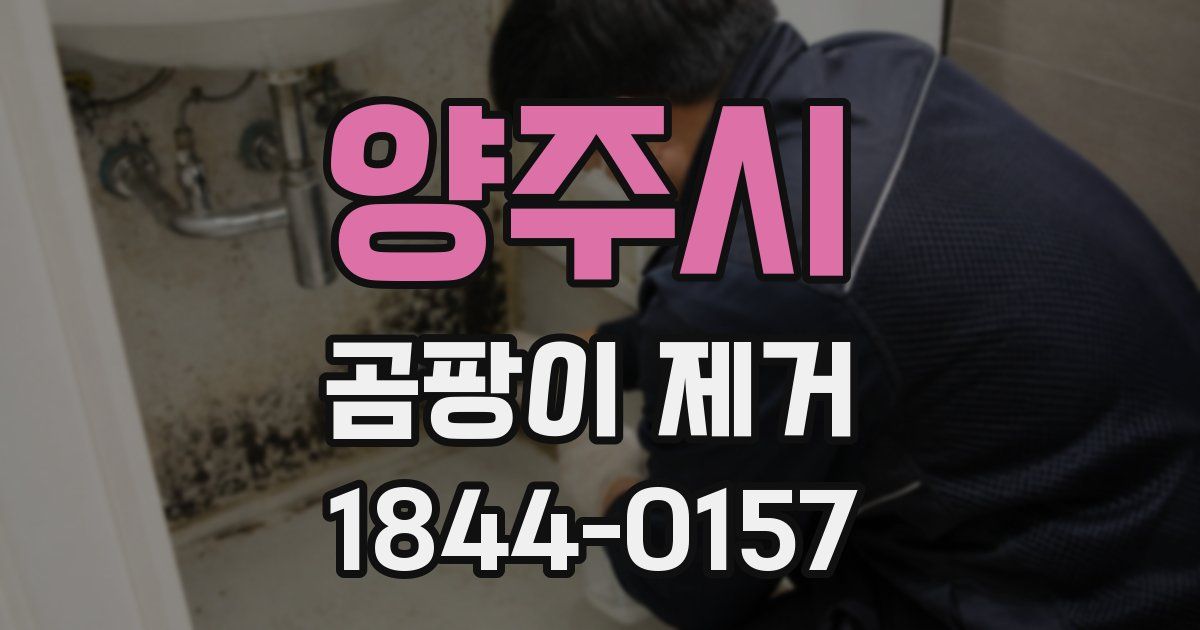 양주시 곰팡이 제거