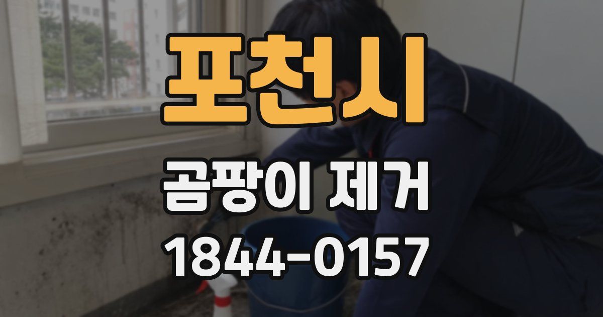 포천시 곰팡이 제거