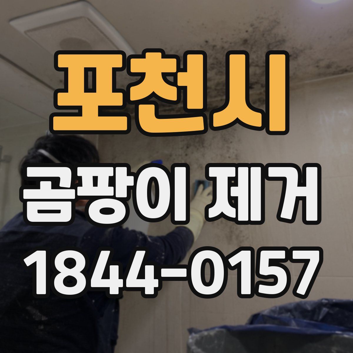 포천시 곰팡이 제거