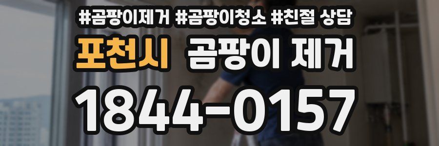 포천시 곰팡이 제거