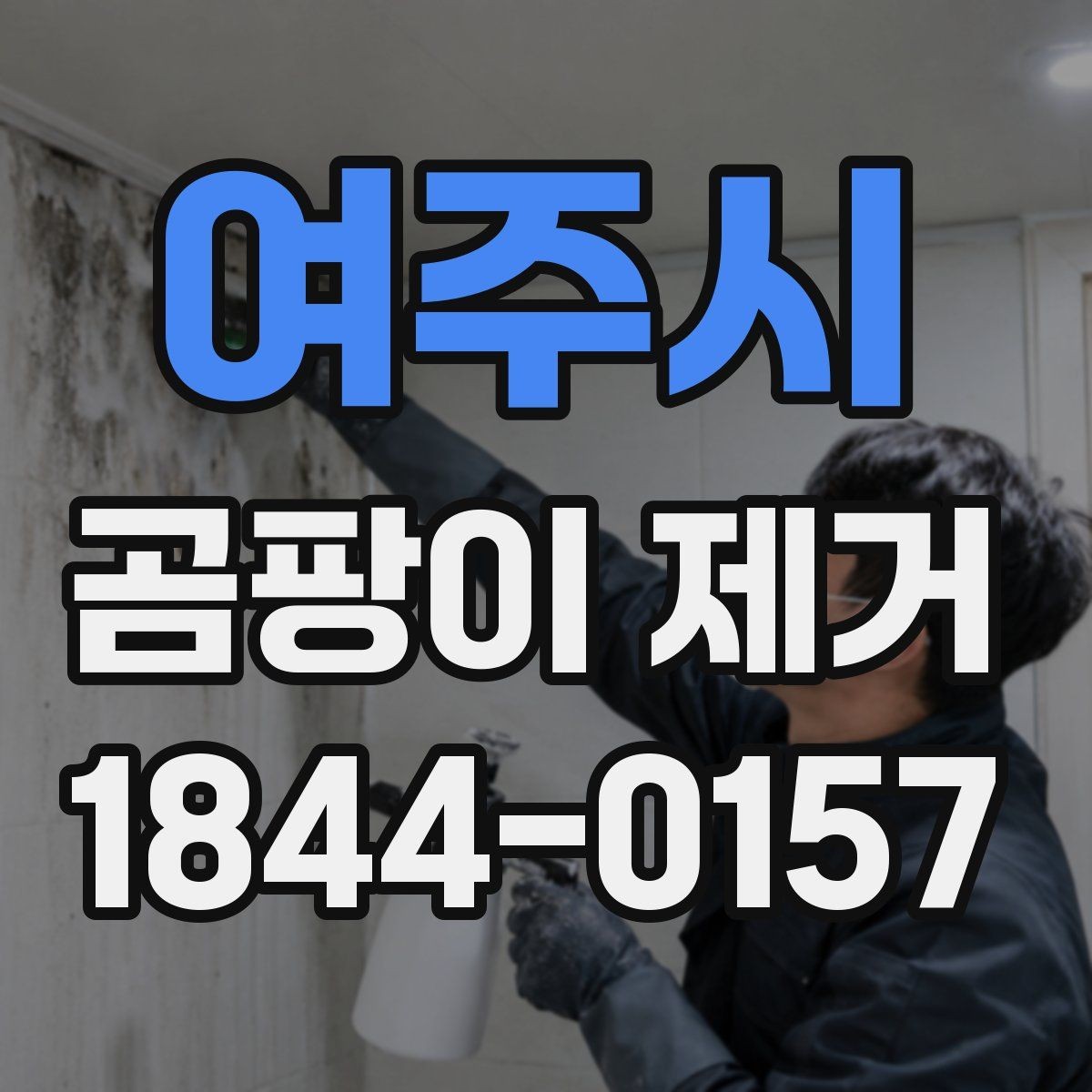 여주시 곰팡이 제거 환기와 습도 관리가 중요한 이유