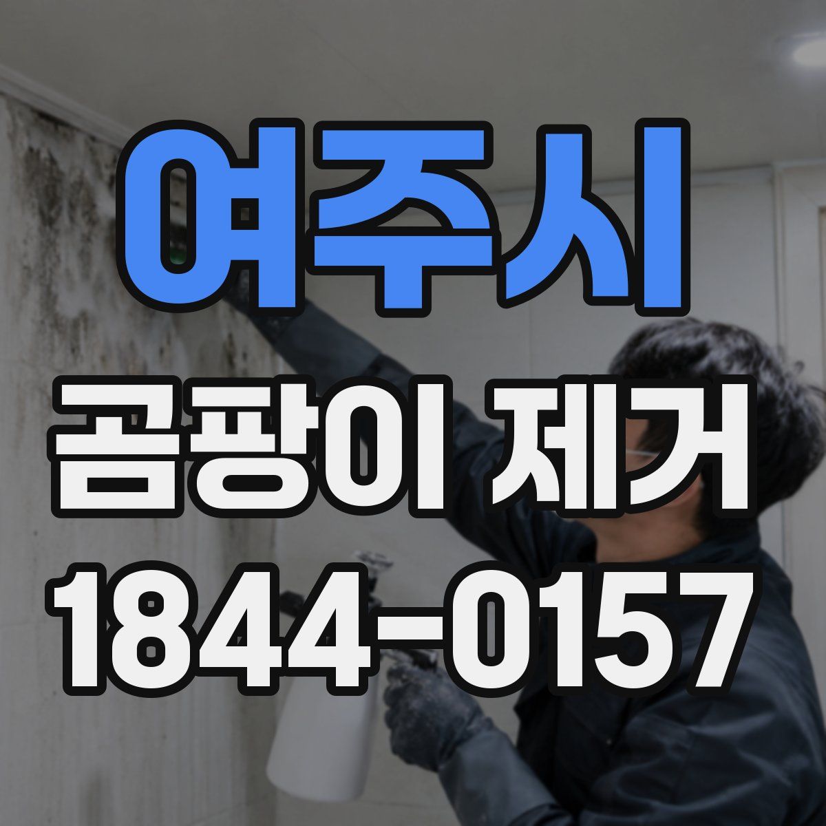 여주시 곰팡이 제거
